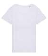 NS324 Native Spirit Ladies T-Shirt White colour image